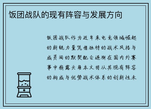 饭团战队的现有阵容与发展方向